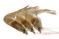 Fresh Prawns Macro Isolated Royalty Free Stock Photo
