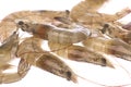Fresh Prawns Macro Isolated Royalty Free Stock Photo