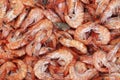 Fresh Prawns, palaemon serratus