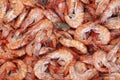 Fresh Prawns, palaemon serratus food