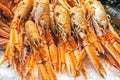 Fresh prawns for sale at a market Royalty Free Stock Photo