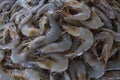 Fresh Prawns (Shrimps)