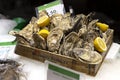 Fresh premium quality oysters with lemon in the wooden box on the ice. Traditional delicatessen seafood. City market at