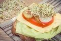Fresh prepared sandwich with wholemeal bread, cheese, vegetables and radish sprouts. Source vitamins and minerals Royalty Free Stock Photo