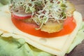 Fresh prepared sandwich with wholemeal bread, cheese, vegetables and radish sprouts. Source vitamins and minerals Royalty Free Stock Photo