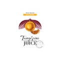 Fresh pressed natural tangerine juice background