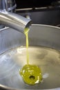 Fresh pressed olives now as the oil in the metal sink Royalty Free Stock Photo