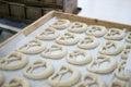 Fresh Pretzel or Brezel Dough on Baker's Tray Royalty Free Stock Photo