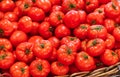 Fresh produce-Tomatoes in Australian market Royalty Free Stock Photo