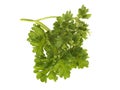 Fresh Prsley Royalty Free Stock Photo