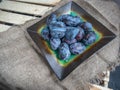 Fresh prunes on a ceramic plate with burlap backing