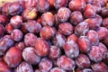 Fresh prunes pattern. Plums background