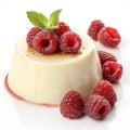 Fresh pudding custard with raspberry isolated on white Royalty Free Stock Photo