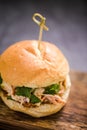 fresh pulled pork burger or bap Royalty Free Stock Photo