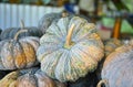 Fresh Pumkin in local market.vegetable high Royalty Free Stock Photo