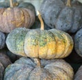 Fresh Pumkin in local market.vegetable high Royalty Free Stock Photo