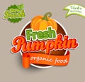 Fresh Pumkin logo. Royalty Free Stock Photo