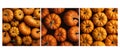 fresh pumpkin food texture background