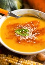 Fresh pumpkin soup with a spoon Royalty Free Stock Photo