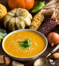 Fresh pumpkin soup with a spoon and vegetables Royalty Free Stock Photo