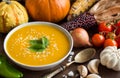 Fresh pumpkin soup with a spoon and vegetables Royalty Free Stock Photo