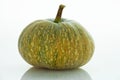 Fresh, pumpkin, white background Royalty Free Stock Photo