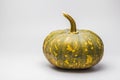 Fresh pumpkin on white background.