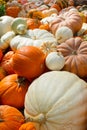 Fresh Pumpkins Displayed For Sale In Market Royalty Free Stock Photo