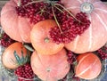 Fresh pumpkins with viburnum branches, top view