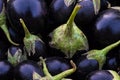 Fresh purple aubergine, bingal or egg plant used in cooking as vegetable, Royalty Free Stock Photo