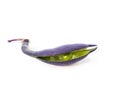 Fresh purple bean pod