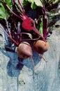 Fresh purple beetroot