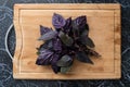 Fresh purple bunch of basil leafs on the wooden board