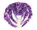 Fresh purple cabbage cut in half isolated on white background Royalty Free Stock Photo