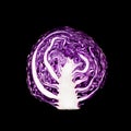 Fresh of purple cabbage half slicedon color background