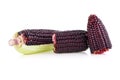Fresh purple corn isolated on white background Royalty Free Stock Photo
