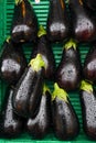 Fresh purple eggplant on the basket in the fruit market Royalty Free Stock Photo