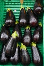 Fresh purple eggplant on the basket in the fruit market Royalty Free Stock Photo