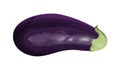 purple eggplant.