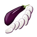 Fresh Purple Eggplant on A White Background Royalty Free Stock Photo