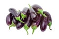 Fresh purple eggplants on a light background Royalty Free Stock Photo