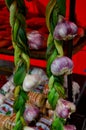 Fresh purple garlic, braided with its branche Royalty Free Stock Photo