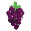Fresh Purple Grape Fruit Royalty Free Stock Photo