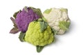 Fresh purple, green and white cauliflower Royalty Free Stock Photo