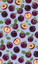 Fresh purple plum seamless pattern, slices, pits, leaves, core. Set of fruits. Vector illustration