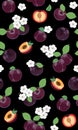 Fresh purple plum seamless pattern with white cherry blossom on black background Royalty Free Stock Photo