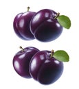 Fresh purple plum set isolated on white background