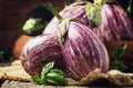 Fresh purple striped eggplants, rustic style, selective focus