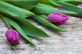 Fresh purple tulip flowers on wooden table