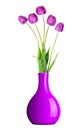 Fresh purple tulips Royalty Free Stock Photo